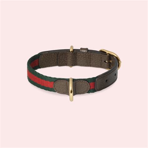 gucci pet bij|gucci pet slang.